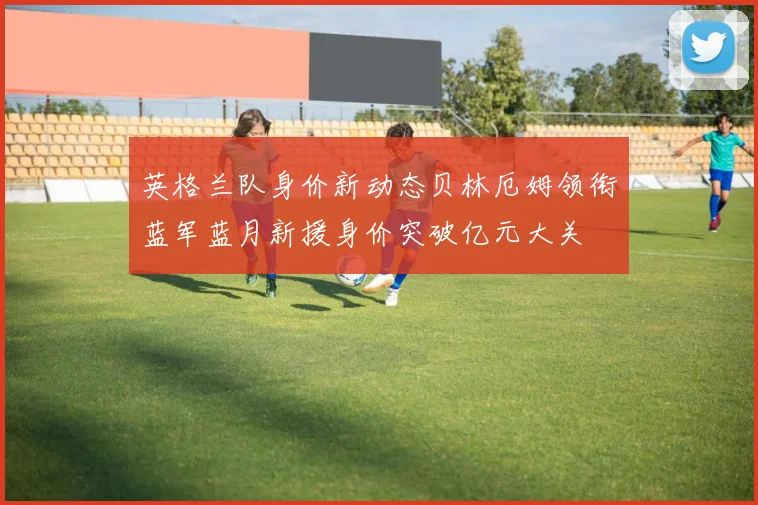 英格兰队身价新动态贝林厄姆领衔蓝军蓝月新援身价突破亿元大关